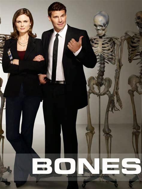 bones serie en español temporada 1